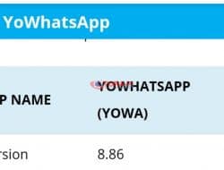 Download Yowhatsapp Terbaru 2021