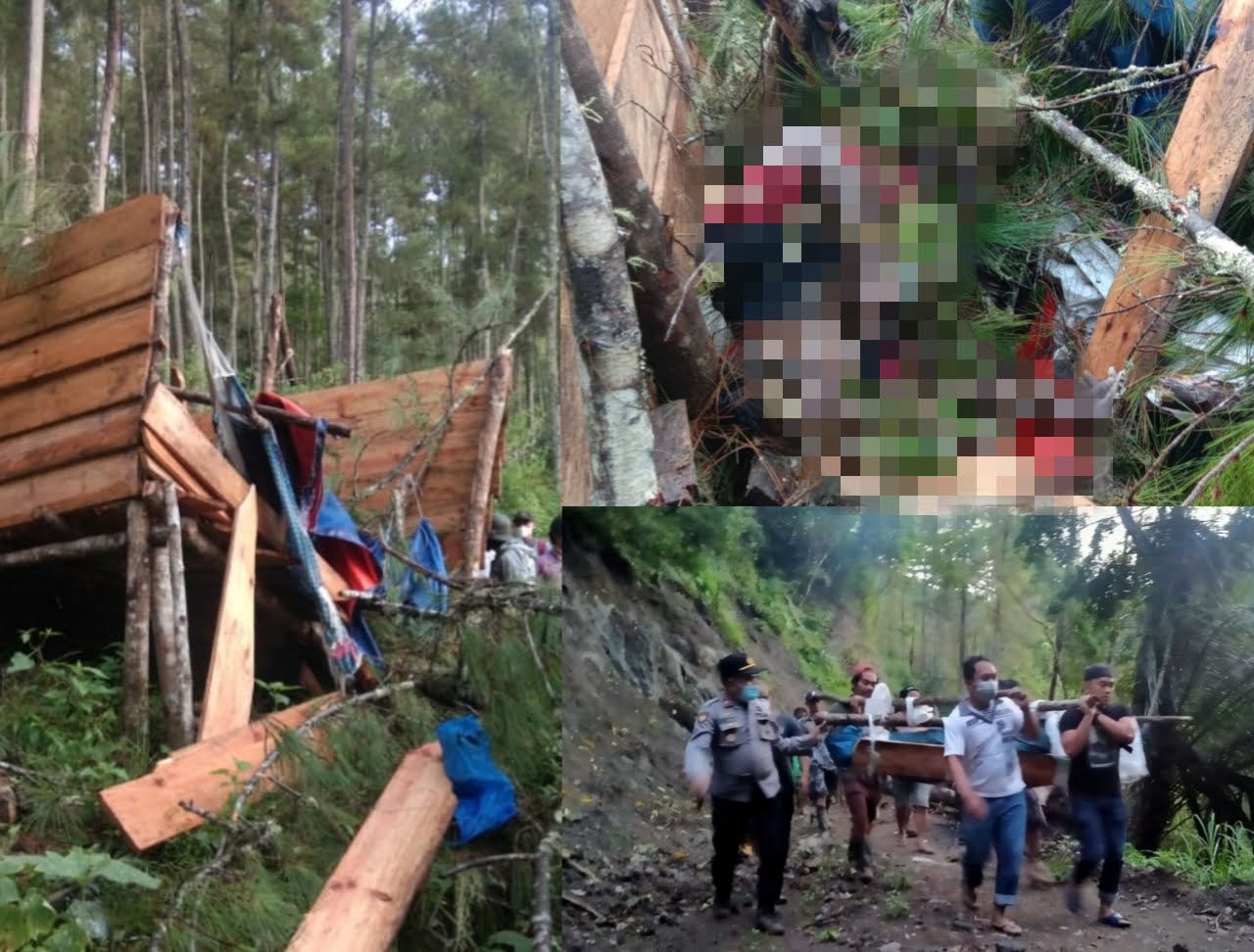 Tertimpa Pohon di Bittuang, 2 Warga Mamasa Ditemukan Meninggal Dunia