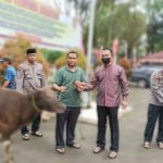 Keluarga besar Kepolisian Resor Toraja Utara (Polres Torut), Polda Sulawesi Selatan, menyembelih 4 ekor sapi, pada Hari Raya Idul Adha 1443 Hijriah/2022 Masehi di Mapolres Toraja Utara, Minggu (10/07/2022).
