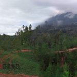 Objek Wisata Bore' Karro, menjadi salah satu objek objek wisata terbaru yang beralamat di Lembang Salu Tapokko, Kecamatan Saluputti, Tana Toraja.
