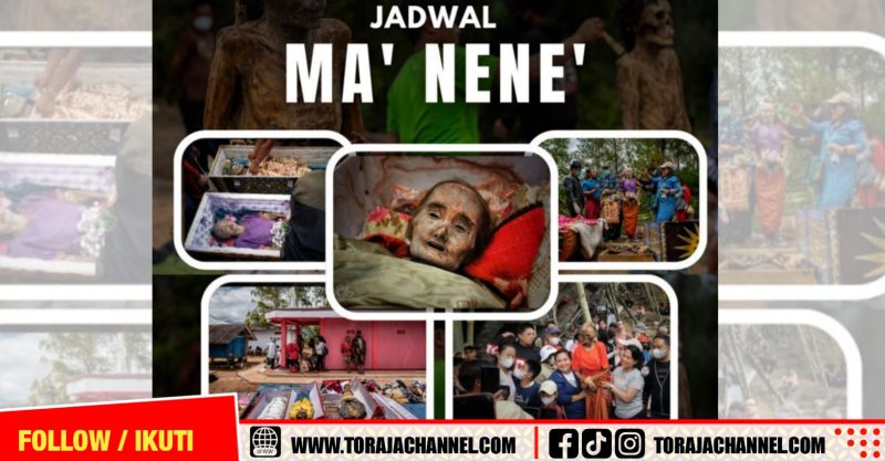 Jadwal Ma’nene’ Tahun 2025 di Toraja Utara Resmi Dirilis, Simak Tanggalnya!
