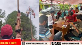 Tana Toraja Meriahkan HUT ke-80 RI dengan Lomba Permainan Rakyat