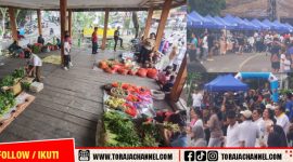 Car Free Day di Makale Hidupkan Ekonomi Rakyat, Pedagang Kaki Lima Panen Rezeki
