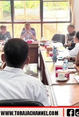 Krisis Tenaga Medis di Tana Toraja: Hanya Ada 27 Dokter untuk 100 Ribu Warga, Obat Senilai Rp 708 Juta Kedaluwarsa!