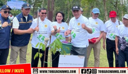 IKN, Tana Toraja, penanaman pohon, PMTI, Kalimantan Timur