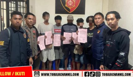 Polres Toraja Utara, Judi Adu Kerbau, Rambu Solo Toraja, MaPasilaga Tedong, Berita Toraja Utara