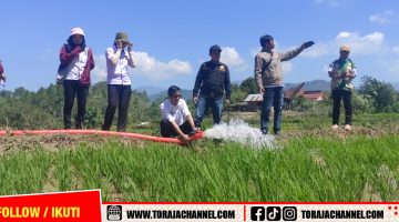 Kemarau Melanda, Pemprov Sulsel Salurkan Pompa Air untuk Petani Tana Toraja