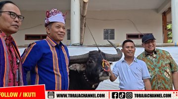 Menteri Koperasi Sambangi Pengusaha Muda Toraja, Potensi Kerbau Jadi Sorotan