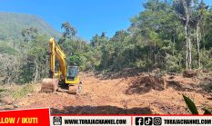Dugaan Perusakan Hutan di Bittuang Disorot, Aktivis Ingatkan Kewenangan Bukan Kekebalan Hukum