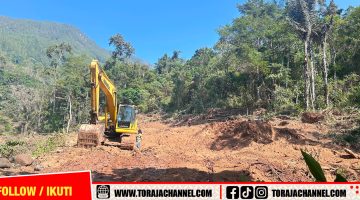 Dugaan Perusakan Hutan di Bittuang Disorot, Aktivis Ingatkan Kewenangan Bukan Kekebalan Hukum